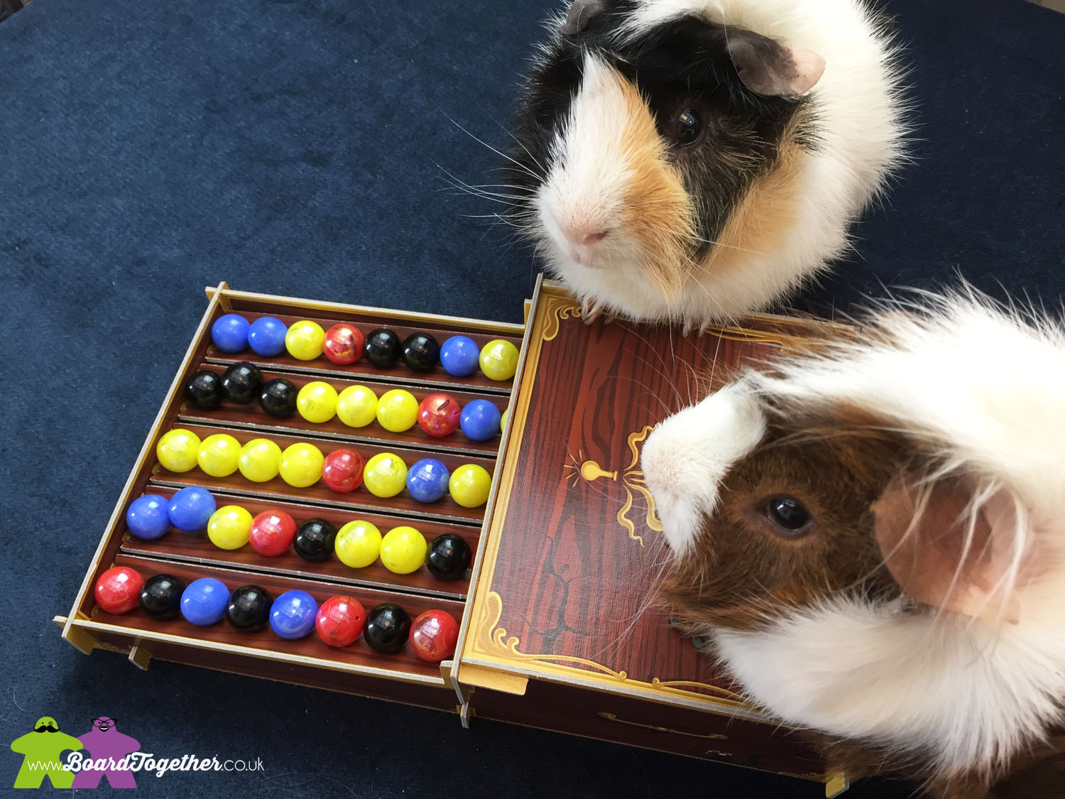 Scampi & Buddy with the boardgame Potion Explosion