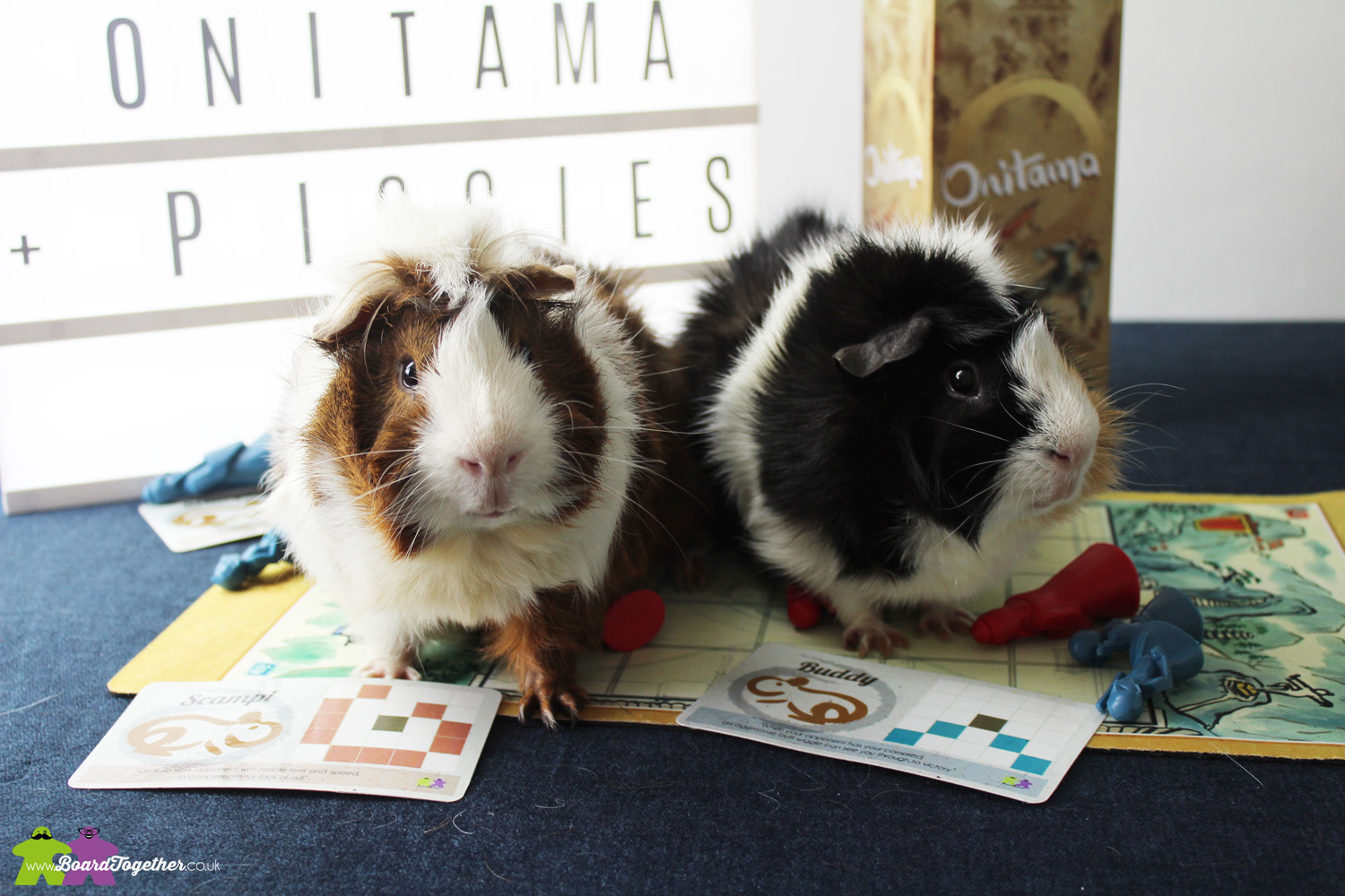 Onitama guinea pig custom made cards